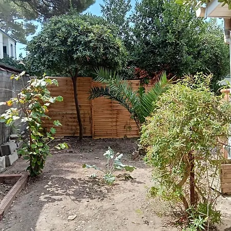 Cozy Pearl With Garden 2 Steps From The Sea Будинок відпочинку