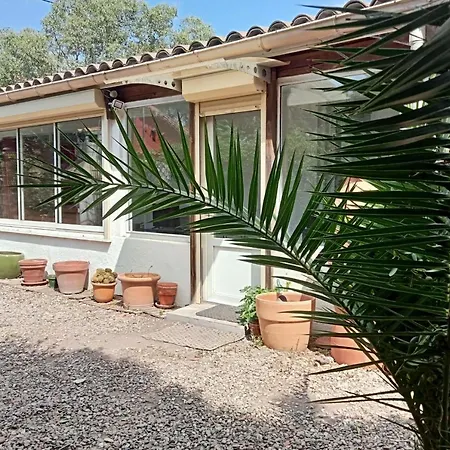 Cozy Pearl With Garden 2 Steps From The Sea