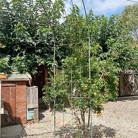 Cozy Pearl With Garden 2 Steps From The Sea